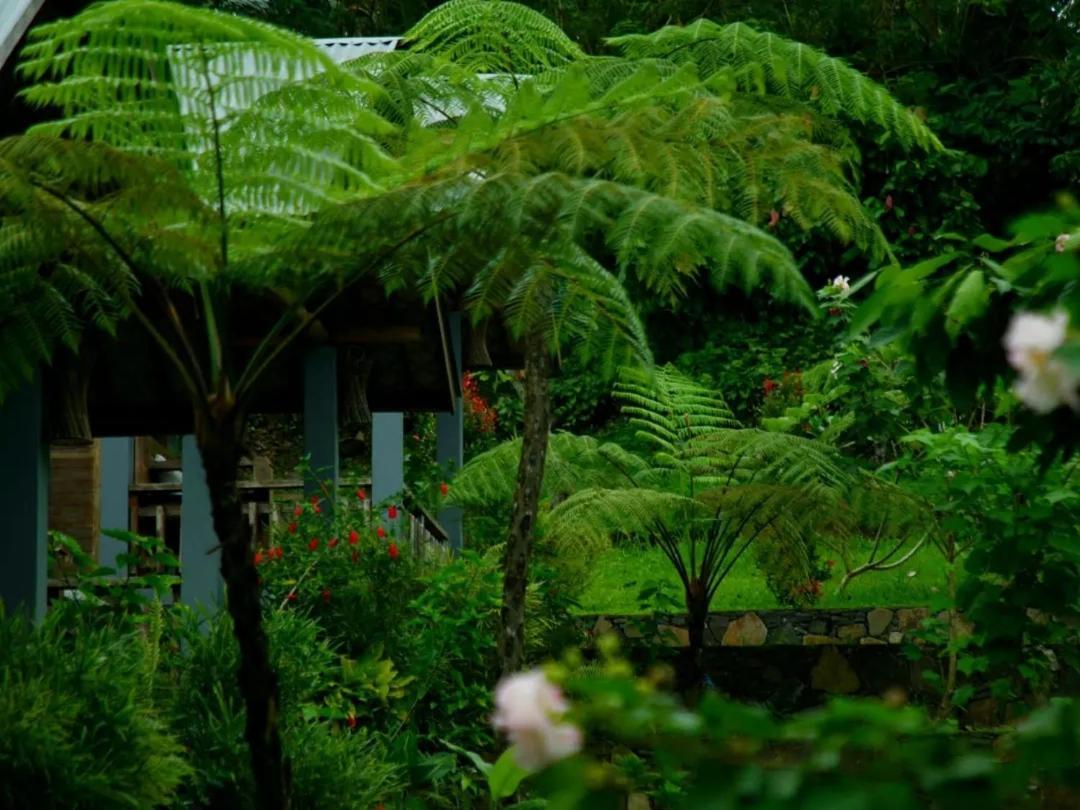 The Geckos Homestay Kelimutu Eksteriør bilde