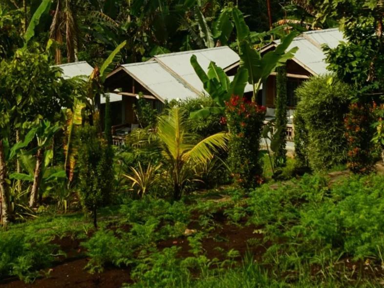 The Geckos Homestay Kelimutu Rom bilde