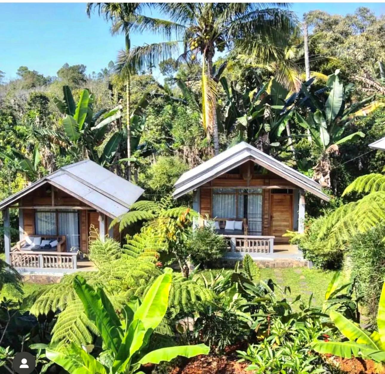 The Geckos Homestay Kelimutu Eksteriør bilde
